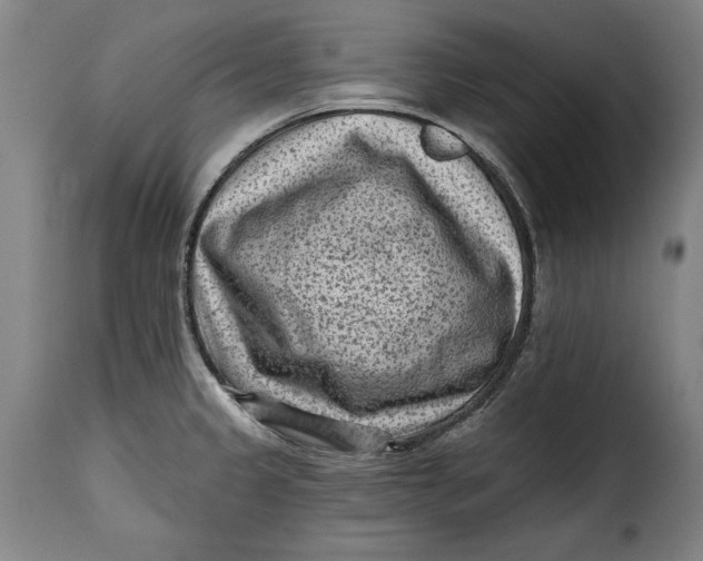 X0000115381333200911241255