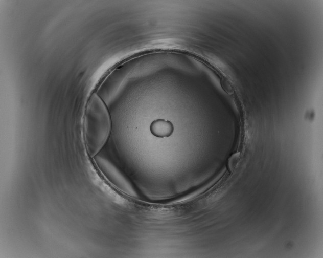 X0000115381334200911241255