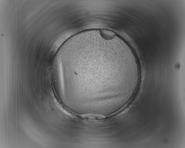 X0000115381337200911241255