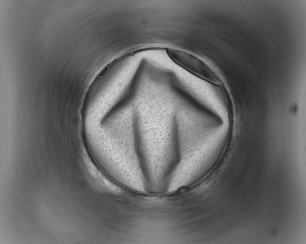 X0000115381341200911241255