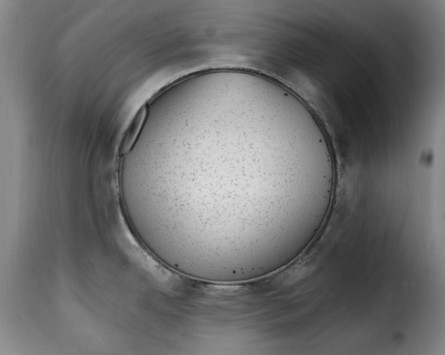 X0000115381342200911241255