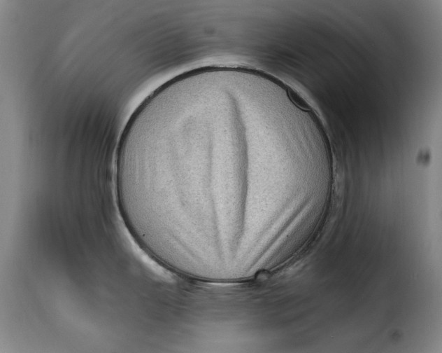 X0000115381343200911241255