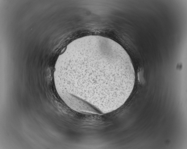 X0000115381347200911241254