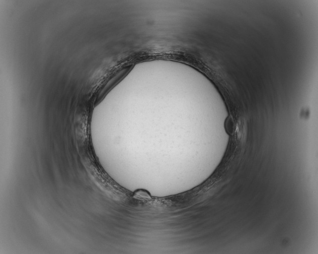 X0000115381348200911241254