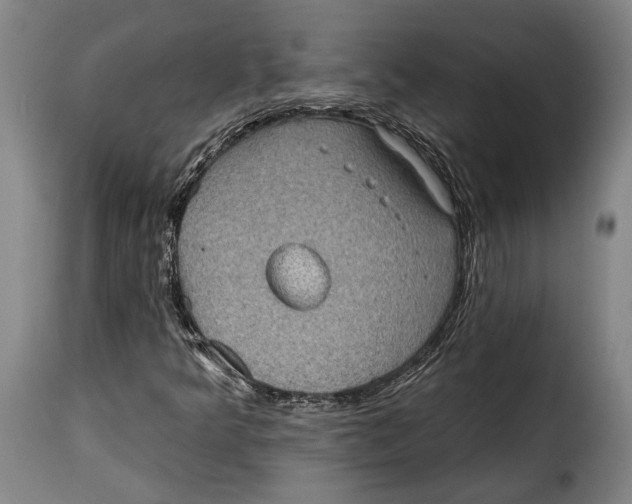 X0000115381349200911241254