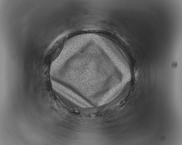 X0000115381351200911241254