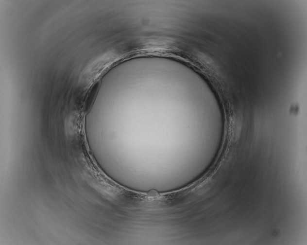 X0000115381353200911241254