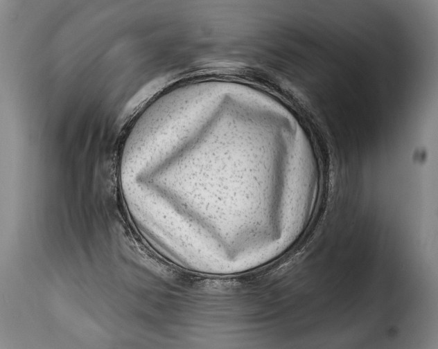 X0000115381354200911241254