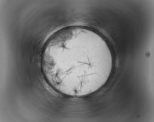 X0000115381356200911241254