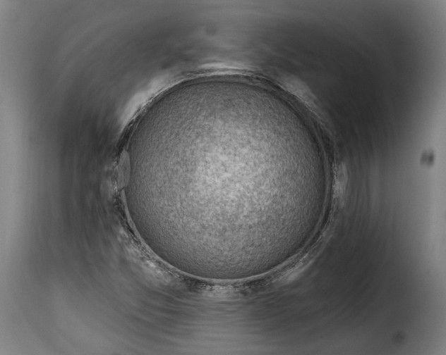 X0000115381357200911241254