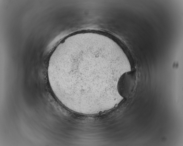 X0000115381359200911241254