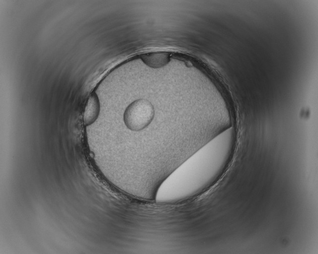 X0000115381361200911241254