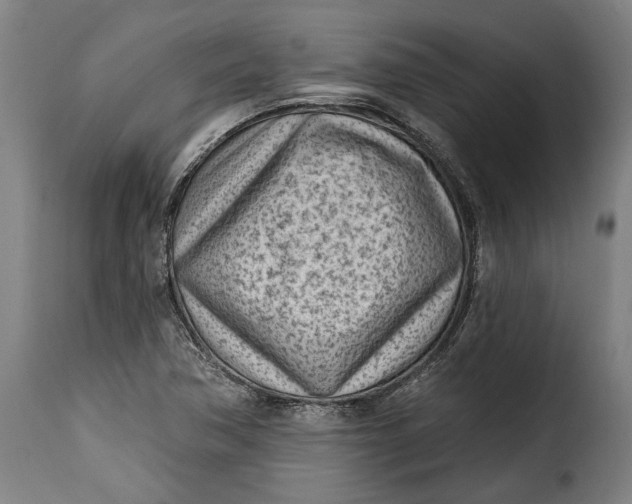 X0000115381362200911241254