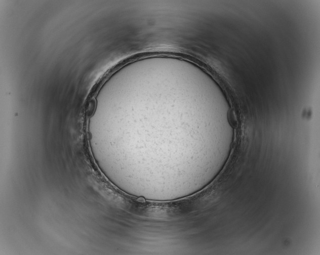 X0000115381364200911241254