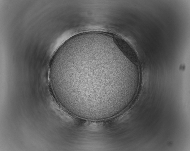 X0000115381365200911241254