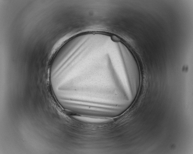 X0000115381366200911241254