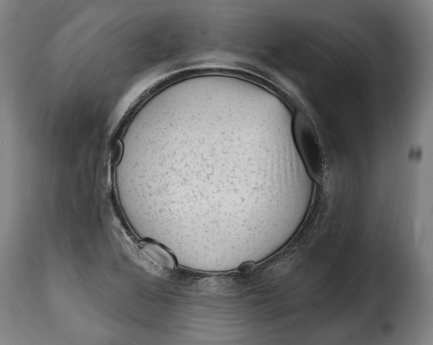 X0000115381368200911241254