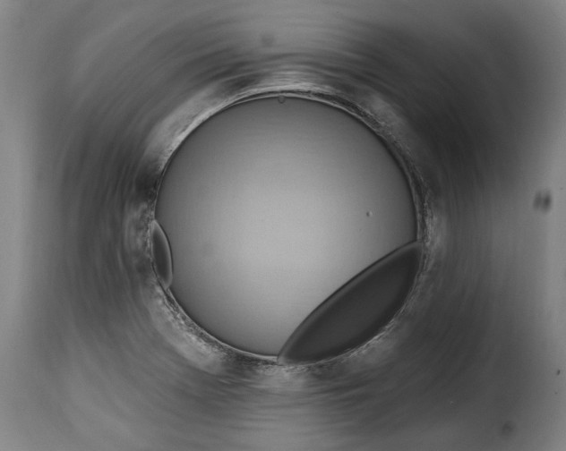 X0000115381369200911241254