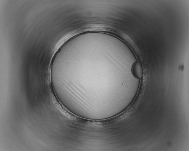 X0000115381370200911241254