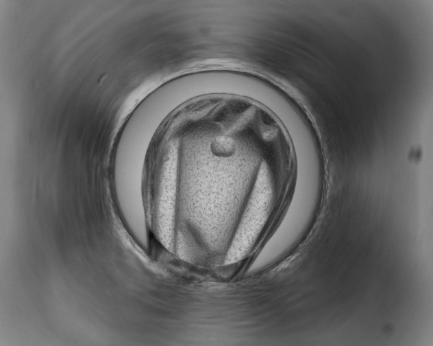 X0000115381373200911241253