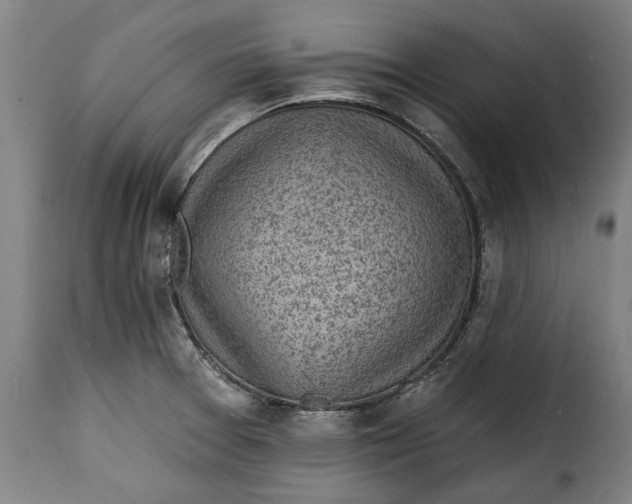 X0000115381377200911241253