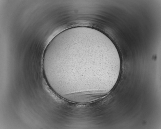 X0000115381378200911241253