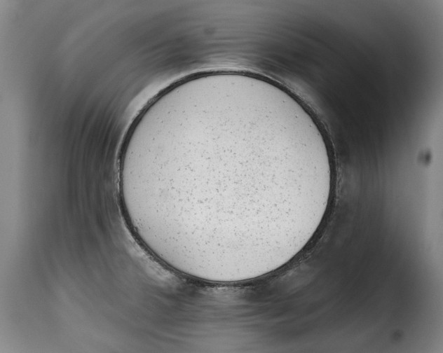 X0000115381380200911241253