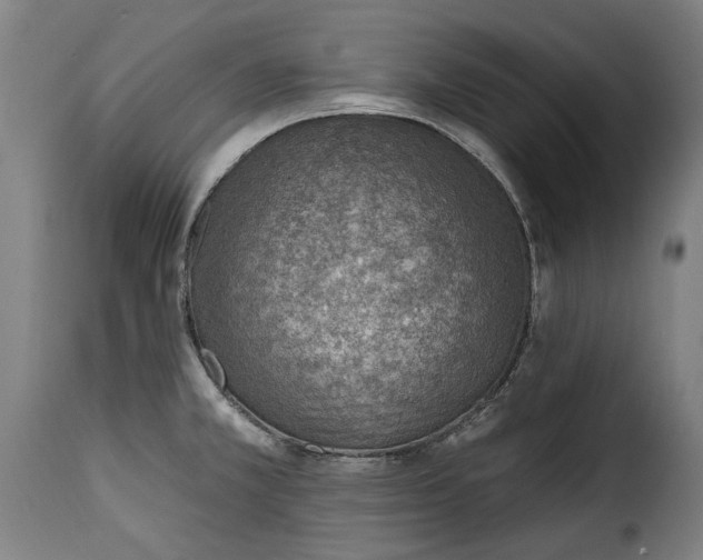 X0000115381381200911241253