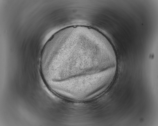 X0000115381383200911241253