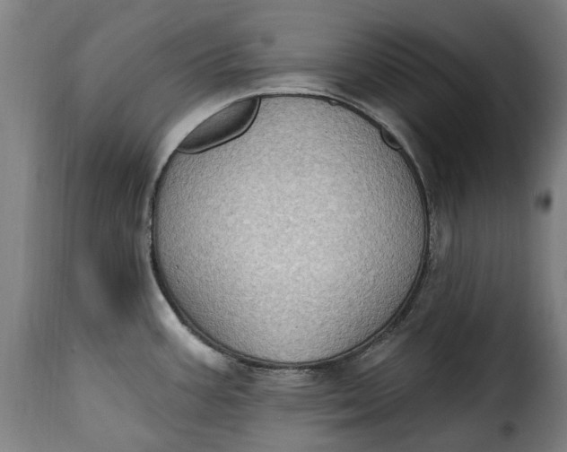 X0000115381387200911241253