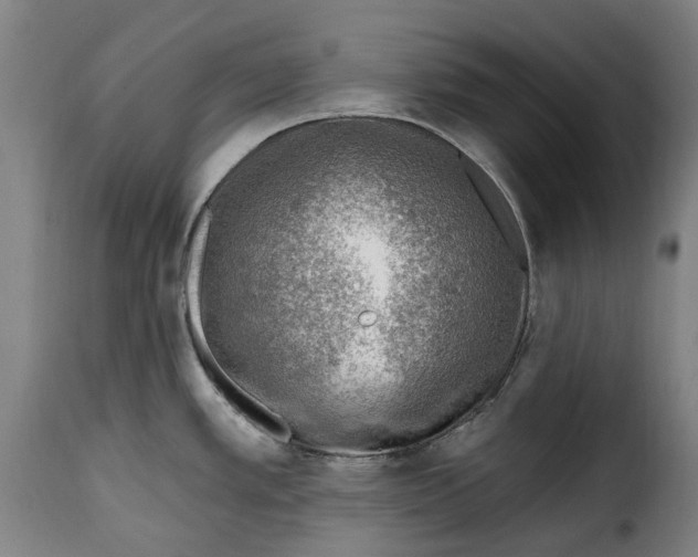 X0000115381389200911241253