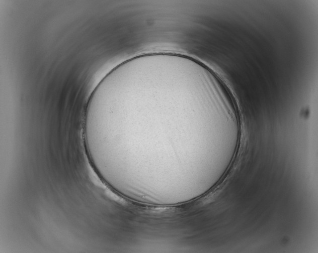 X0000115381390200911241253