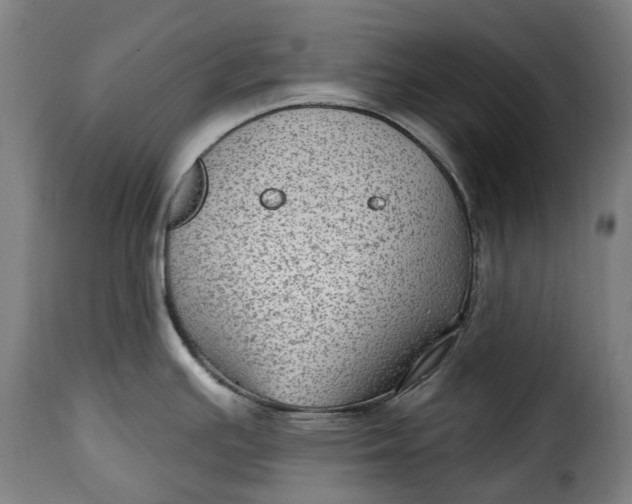 X0000115381391200911241253