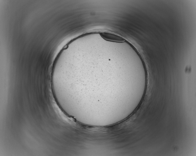 X0000115381392200911241253