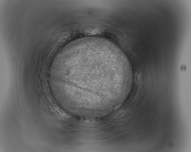 X0000115381393200911241253