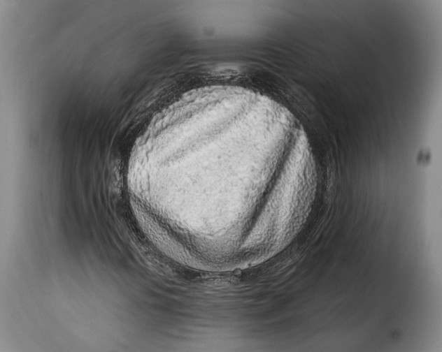 X0000115381394200911241253