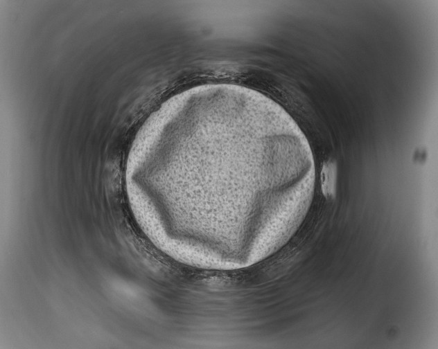 X0000115381395200911241253