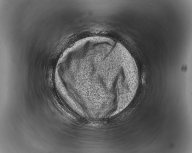 X0000115381396200911241253