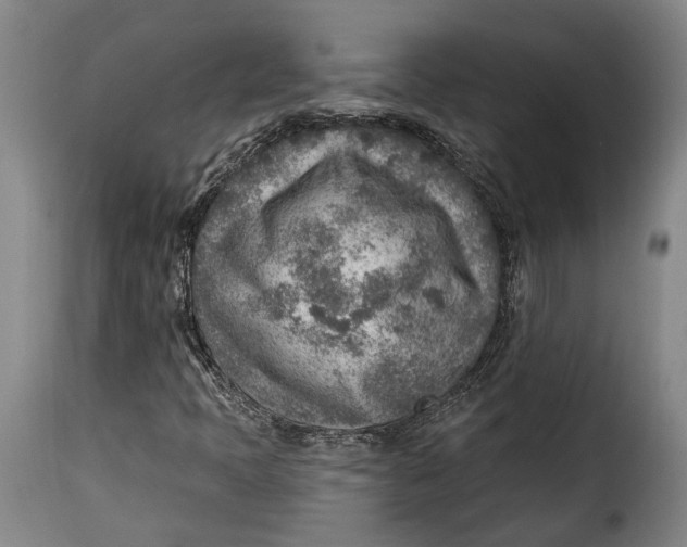 X0000115381397200911241253