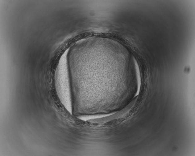 X0000115381398200911241253