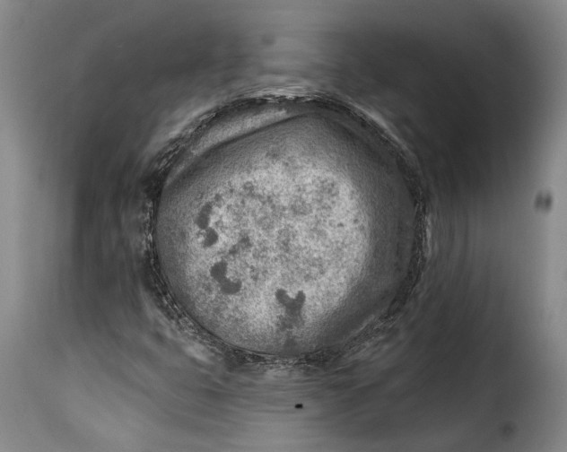 X0000115381399200911241253