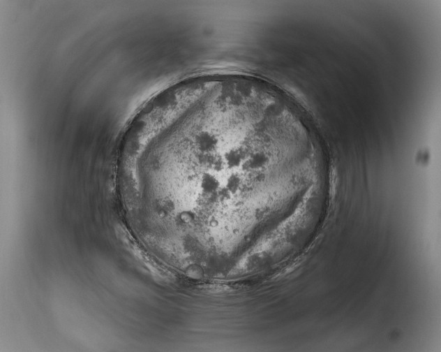 X0000115381405200911241253