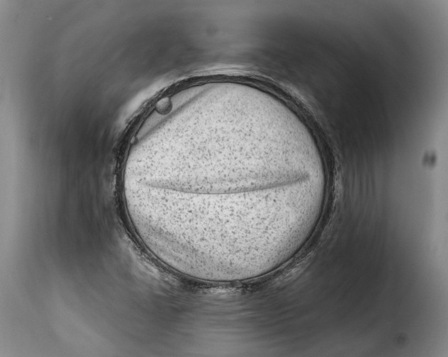 X0000115381406200911241253