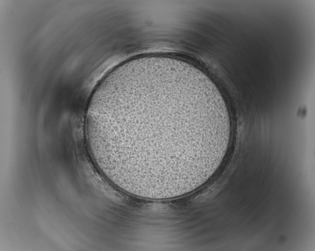 X0000115381409200911241253