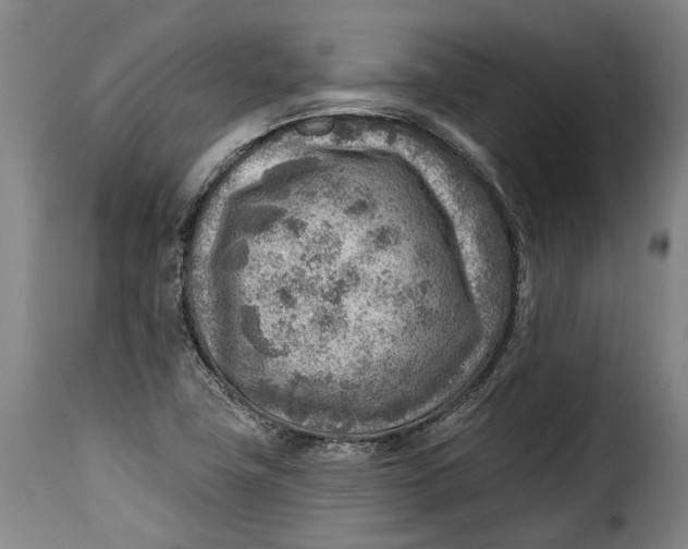 X0000115381411200911241253