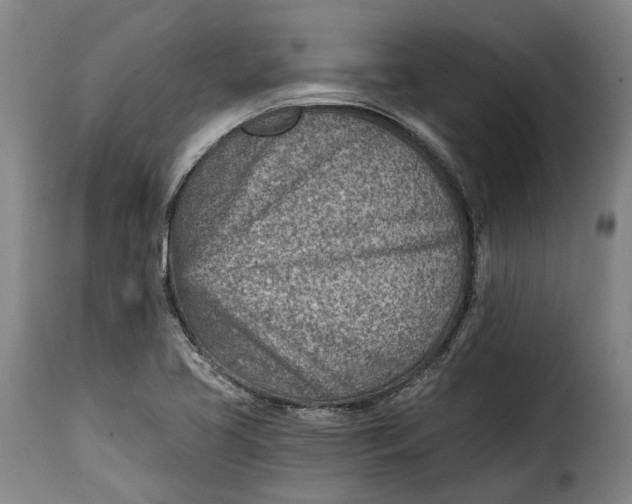 X0000115381413200911241253