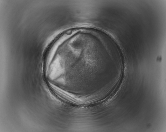 X0000115381414200911241253