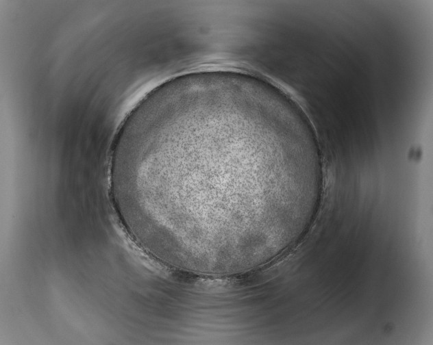 X0000115381415200911241253