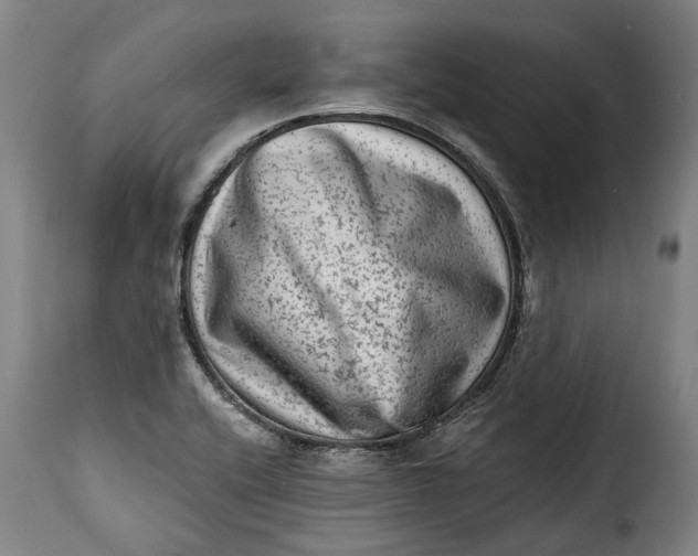 X0000115381416200911241253