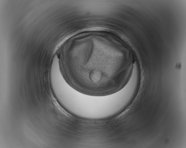 X0000115381417200911241253